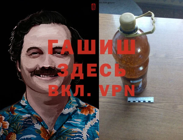 гидра Долгопрудный