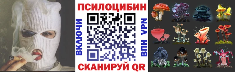 Галлюциногенные грибы MAGIC MUSHROOMS  Чекалин 